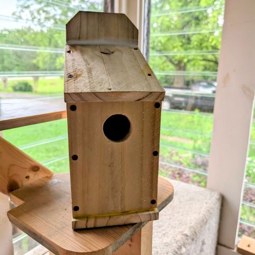 birdhouse1