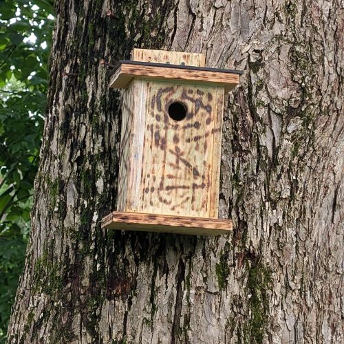 birdhouse2